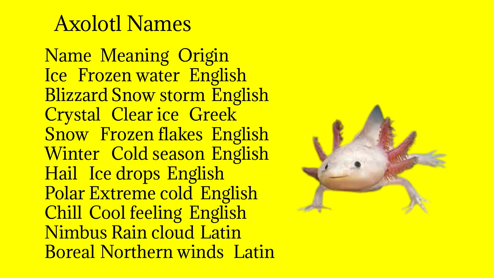 Axolotl Names