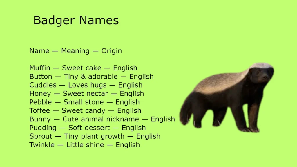 Badger Names
