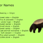 Badger Names