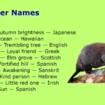 Beaver Names