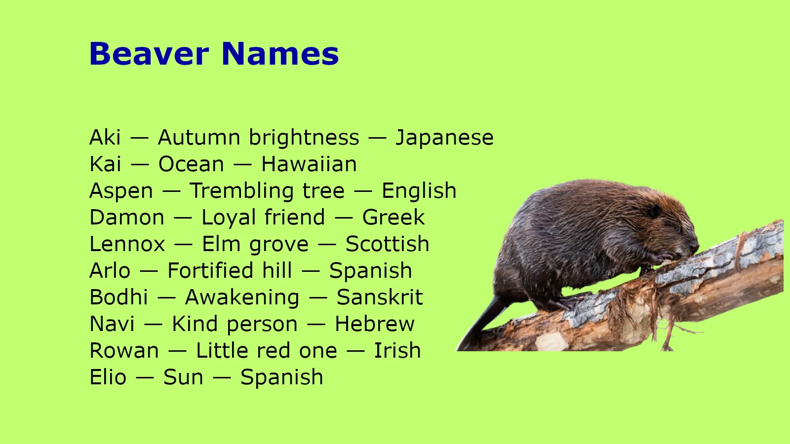 Beaver Names