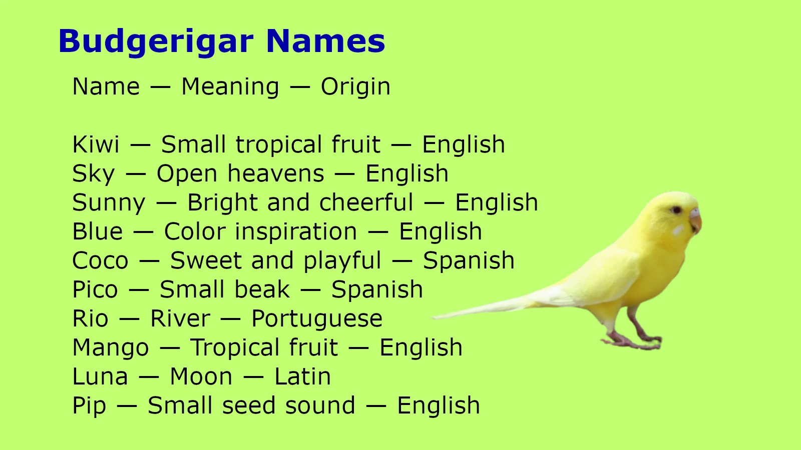 Budgerigar Names