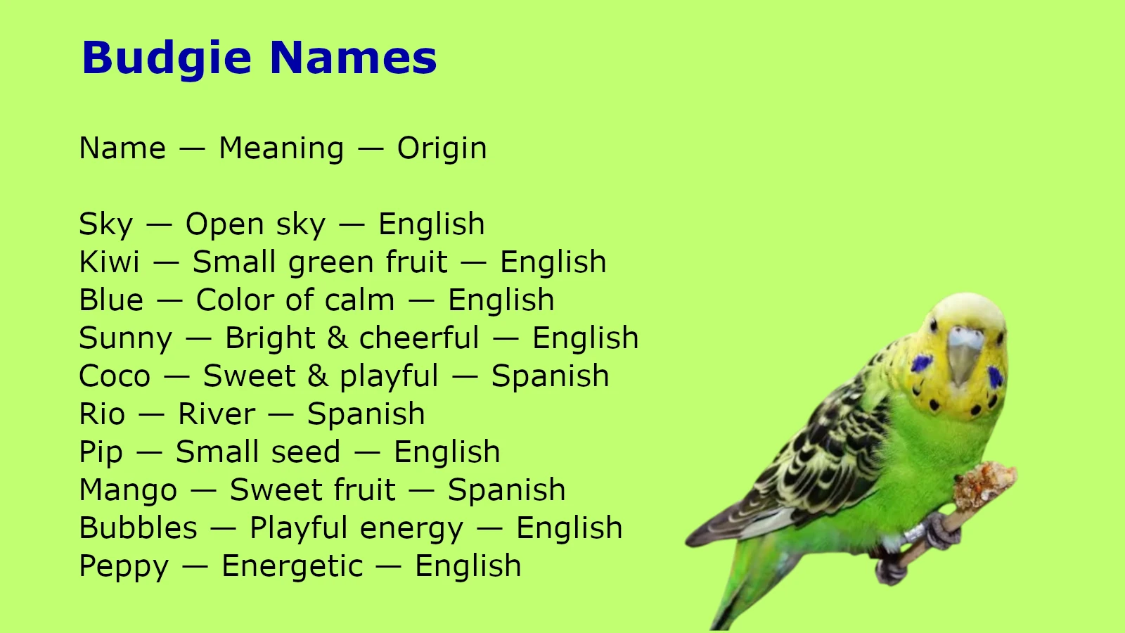 Budgie Names