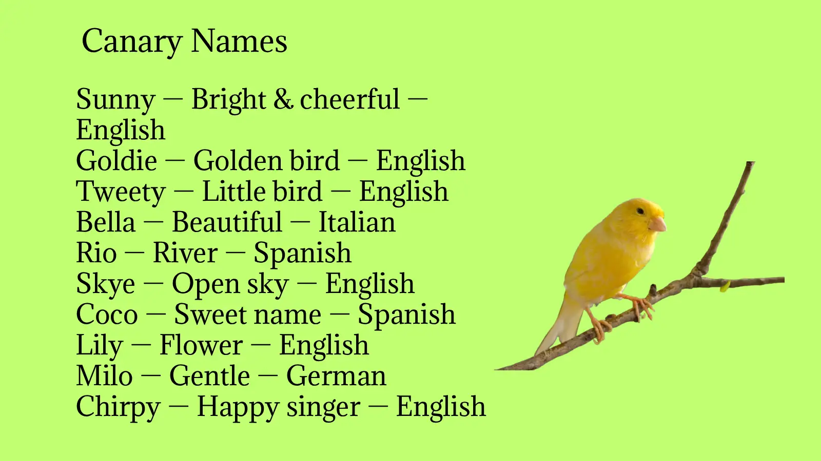 Canary Names