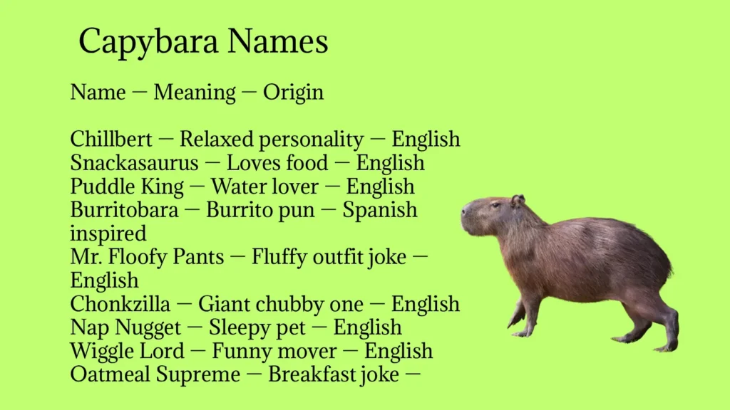 Capybara Names