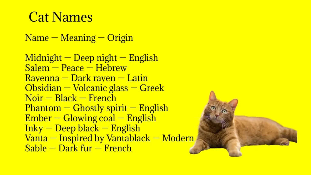 Cat Names