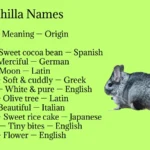 Chinchilla Names