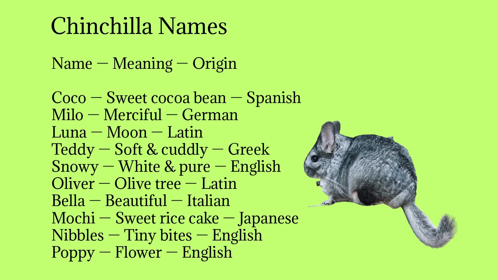 Chinchilla Names