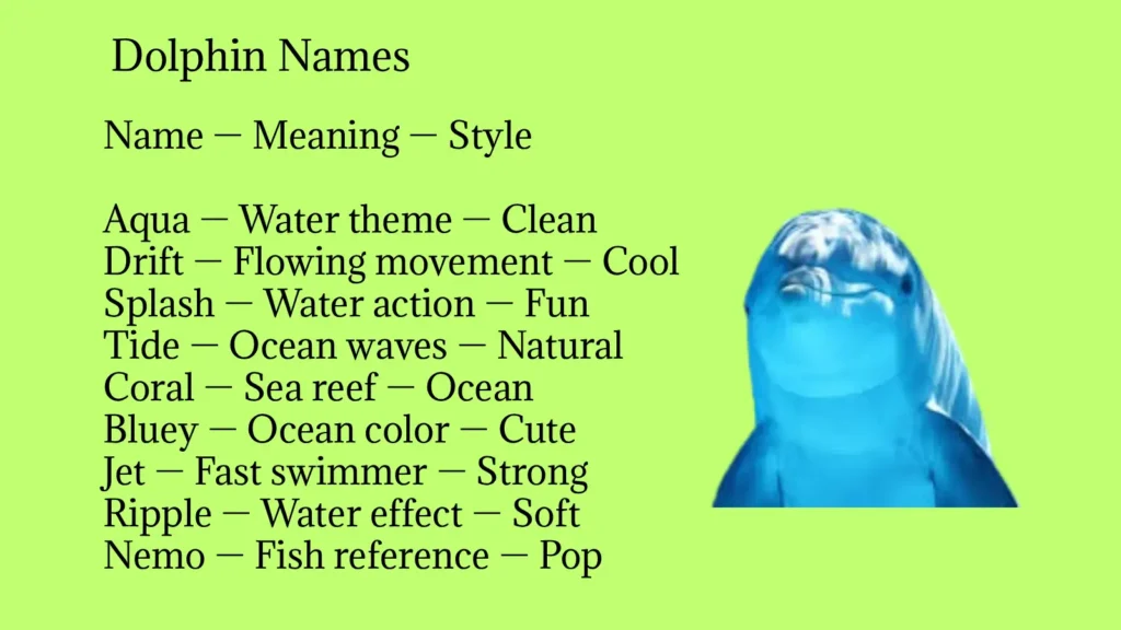 Dolphin Names