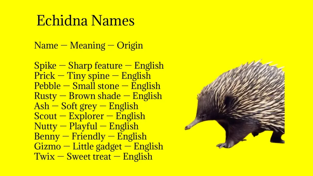 Echidna Names