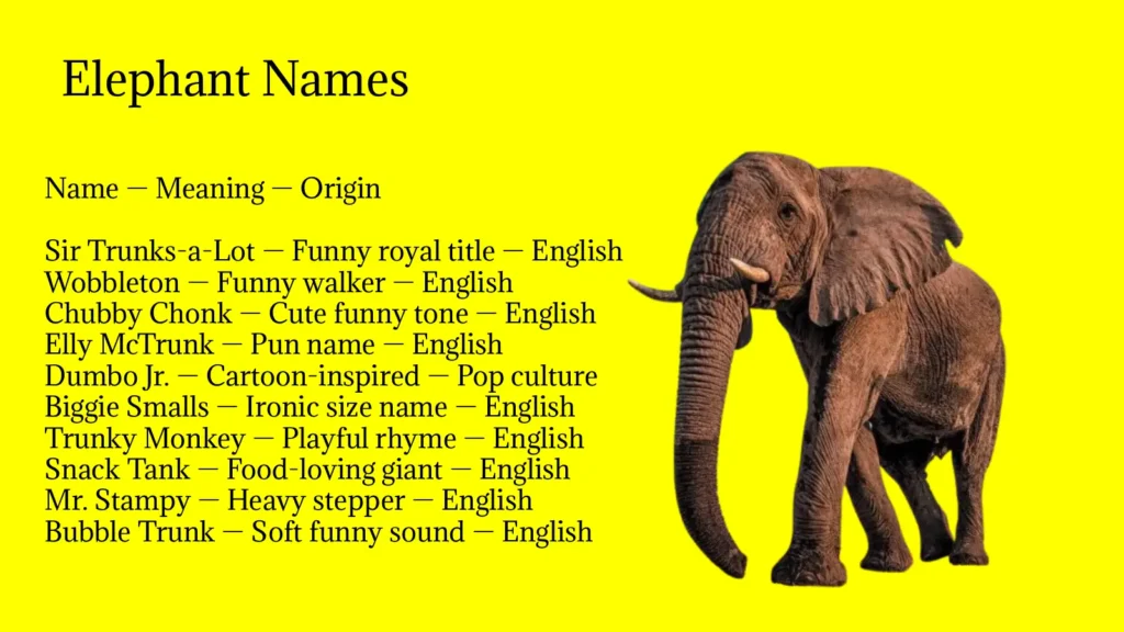 Elephant Names