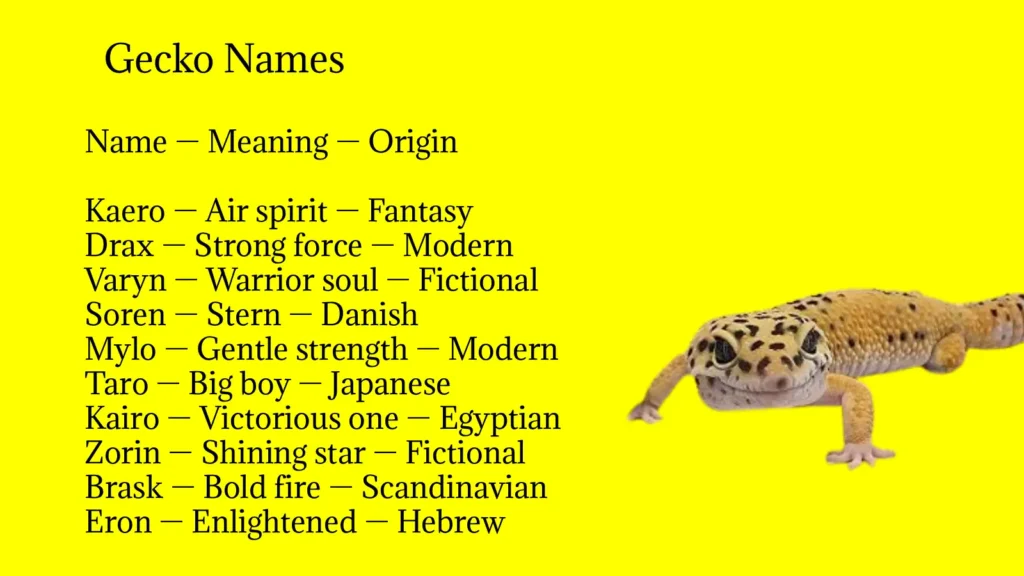 Gecko Names
