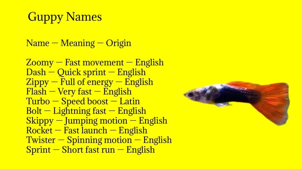 Guppy Names