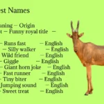 Hartebeest Names