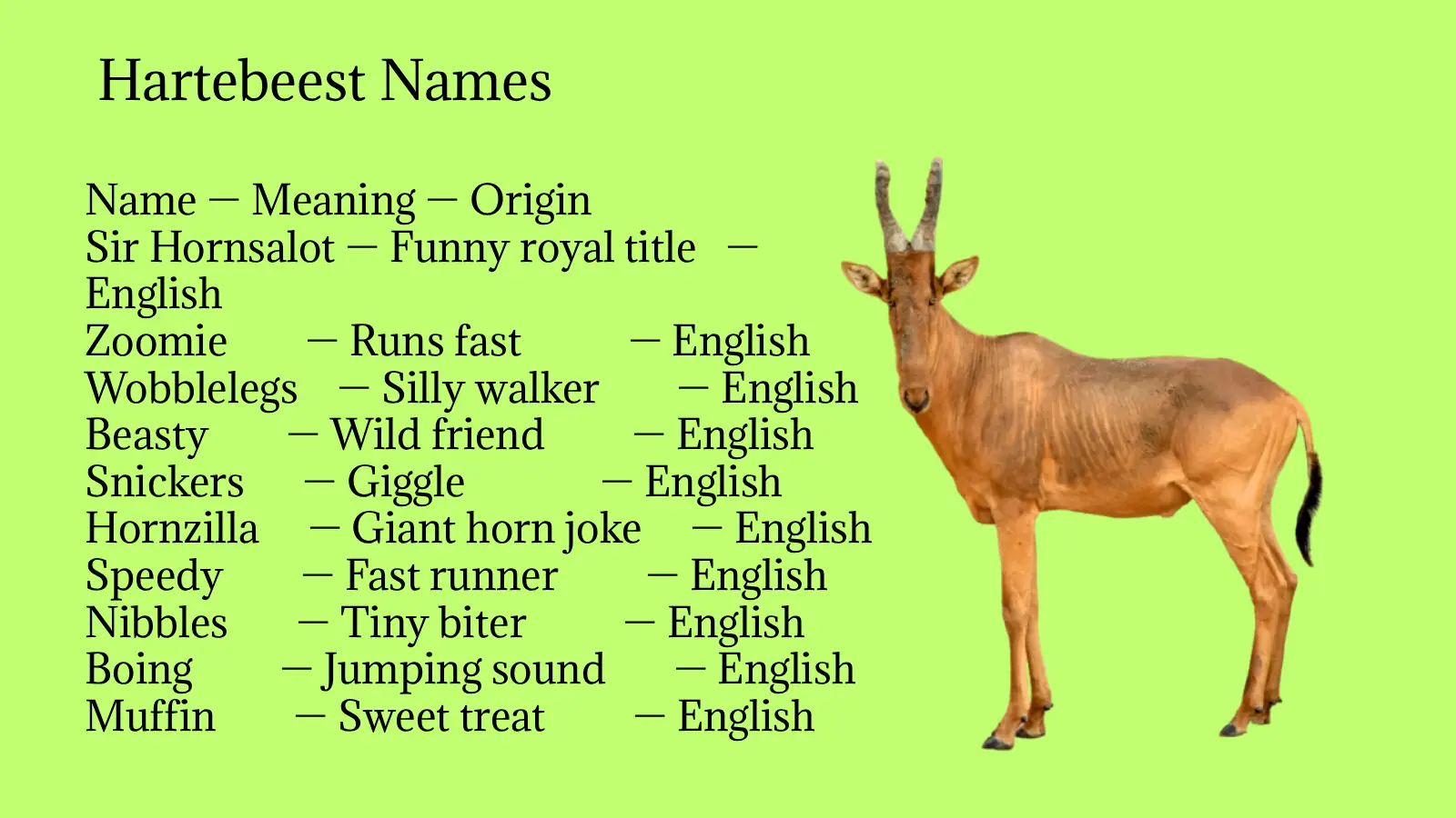 Hartebeest Names