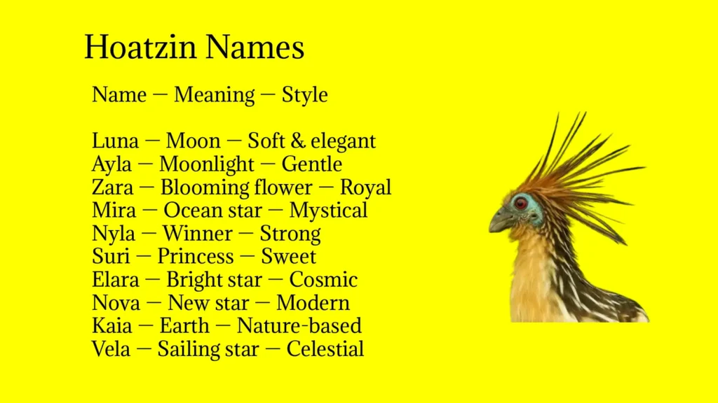 Hoatzin Names