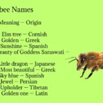 Honeybee Names