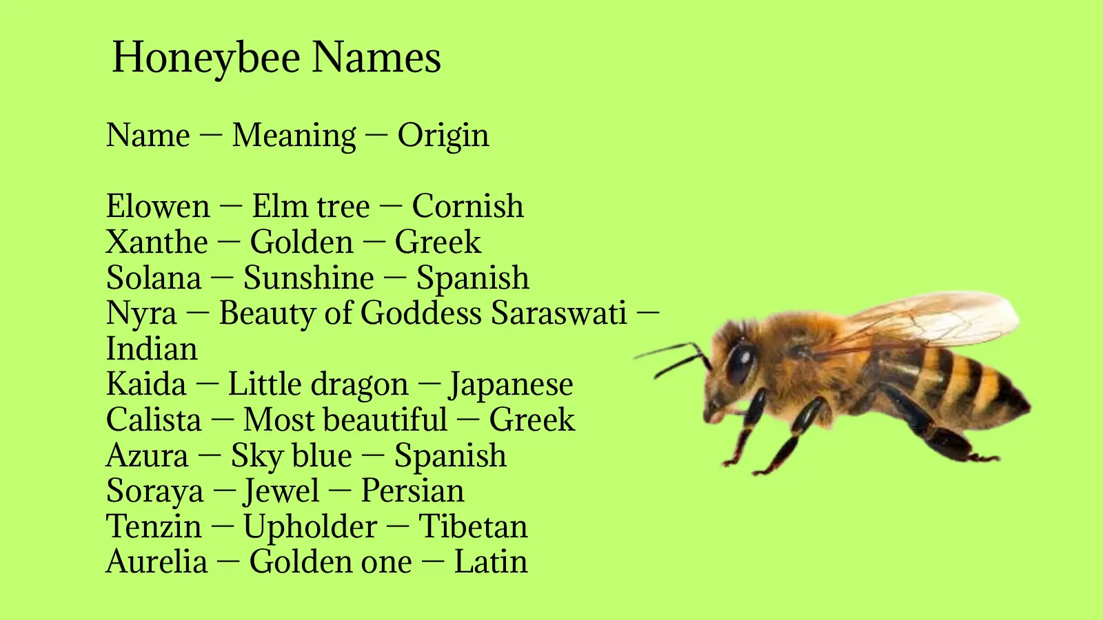 Honeybee Names