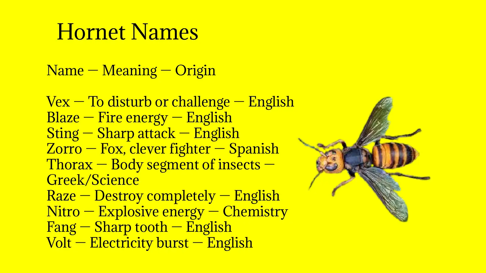 Hornet Names