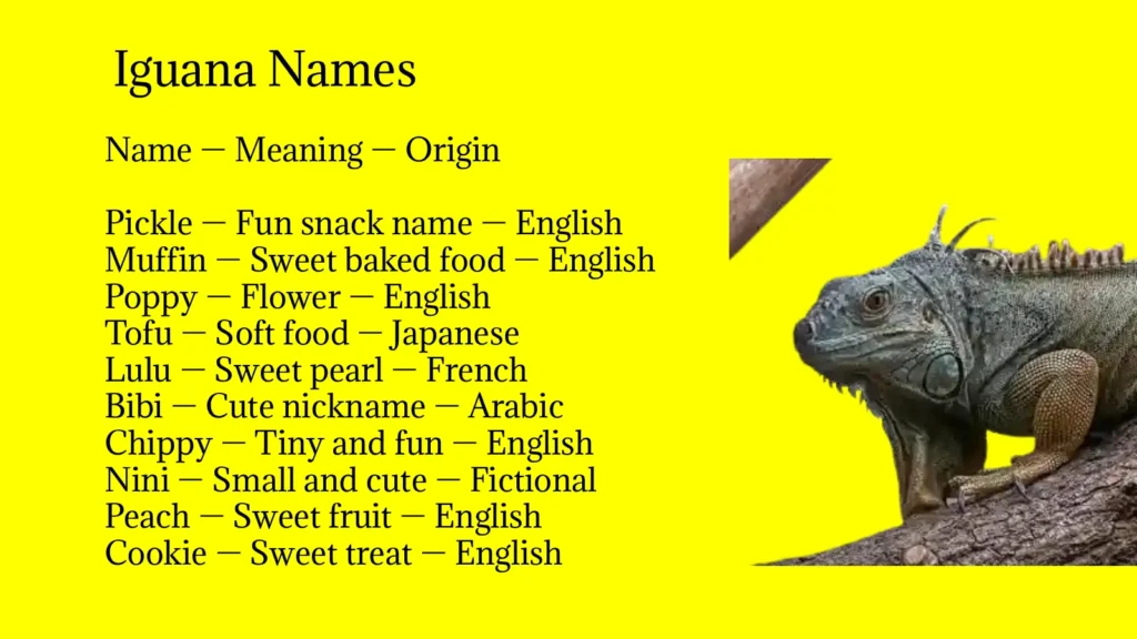 Iguana Names