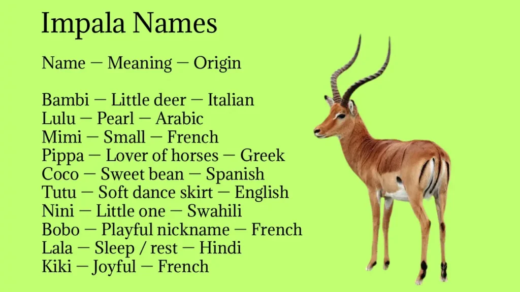 Impala Names