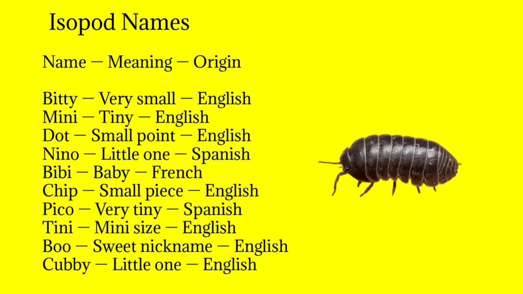 Isopod Names