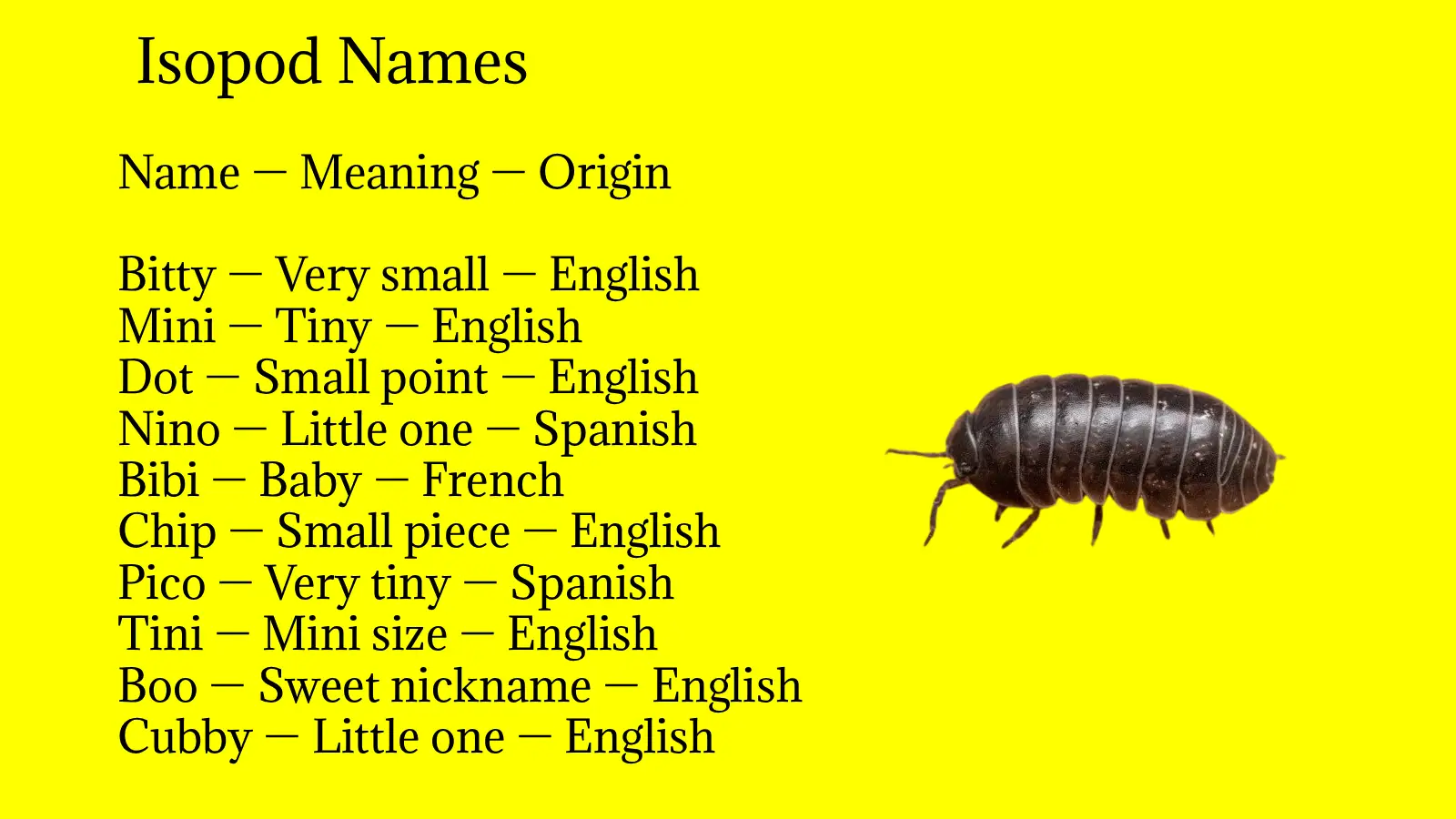 Isopod Names