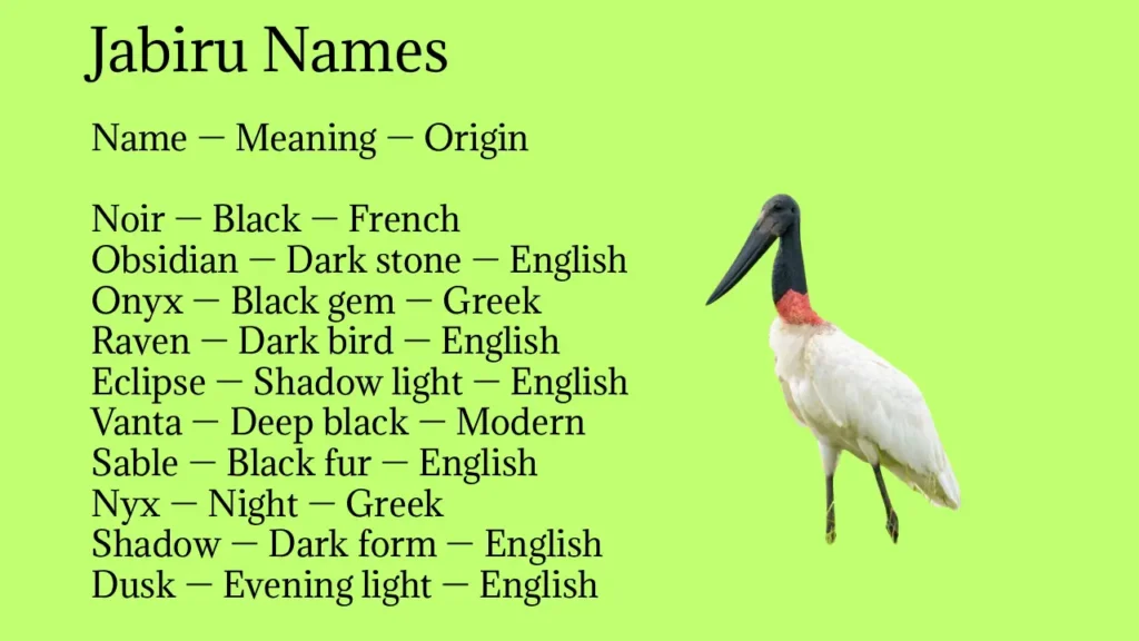 Jabiru Names