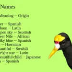 Jacana Names