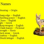 Jackal Names