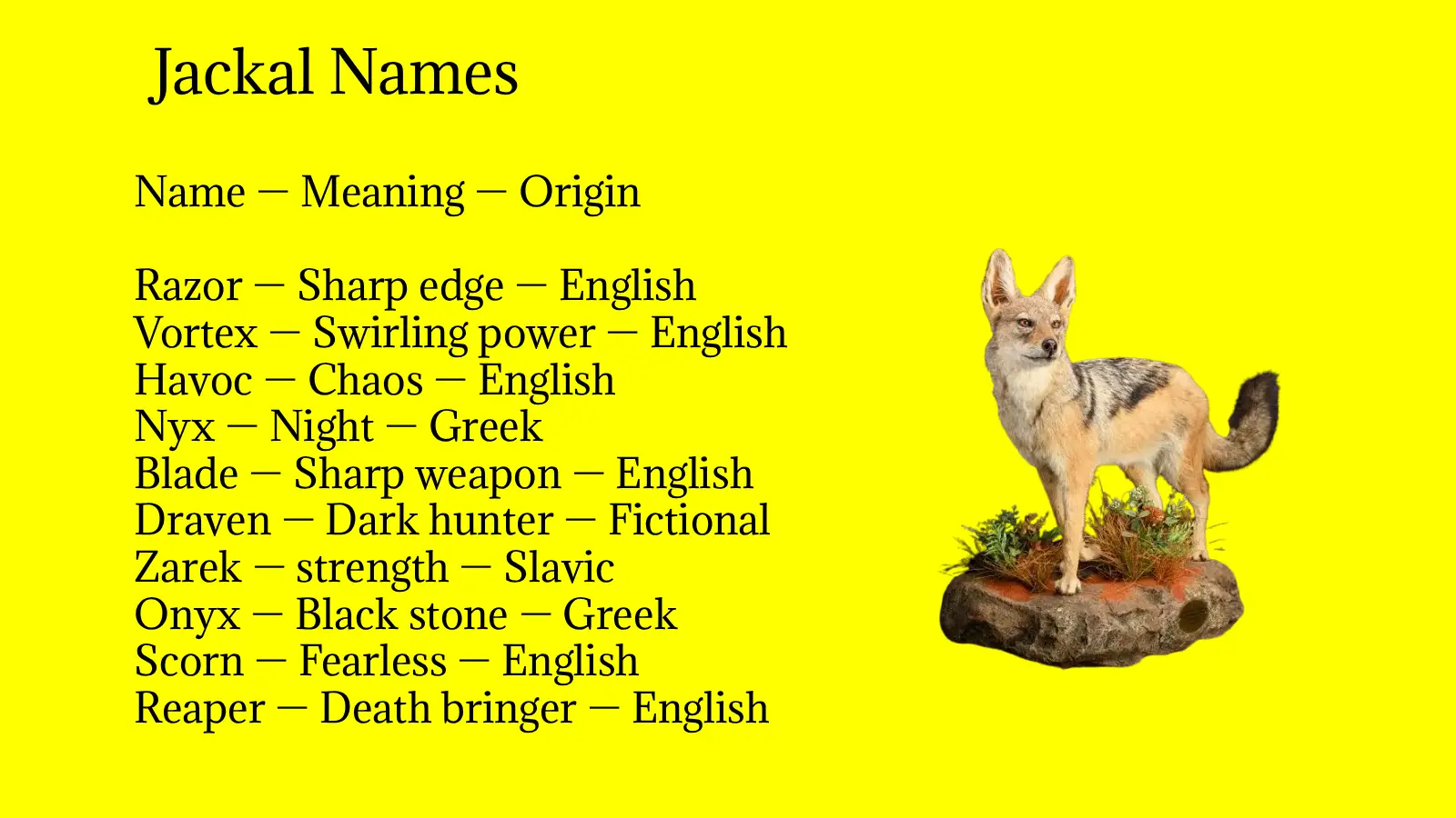 Jackal Names