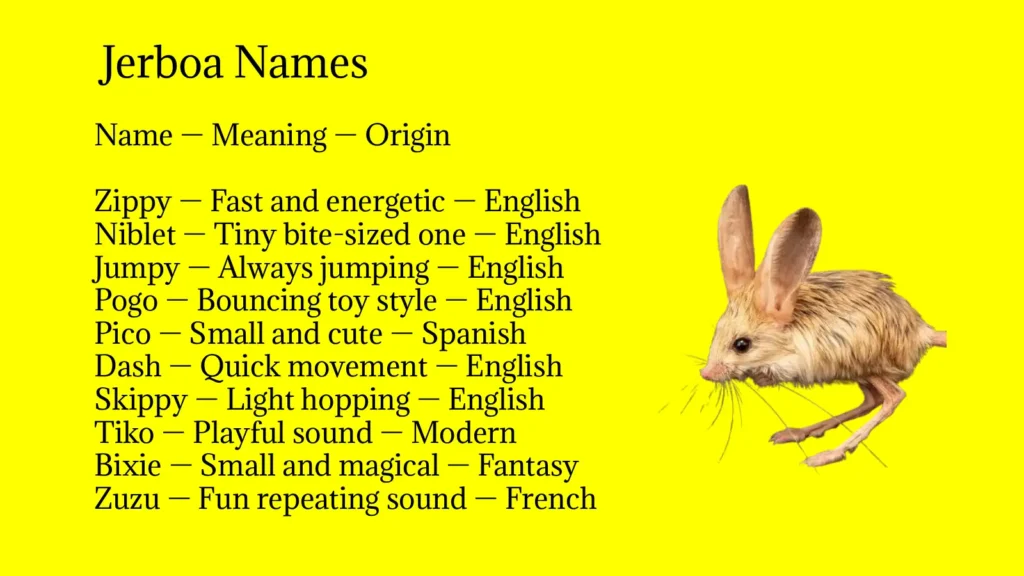 Jerboa Names