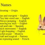 Jerboa Names
