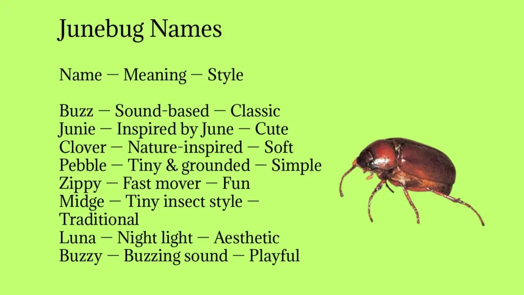 Junebug Names