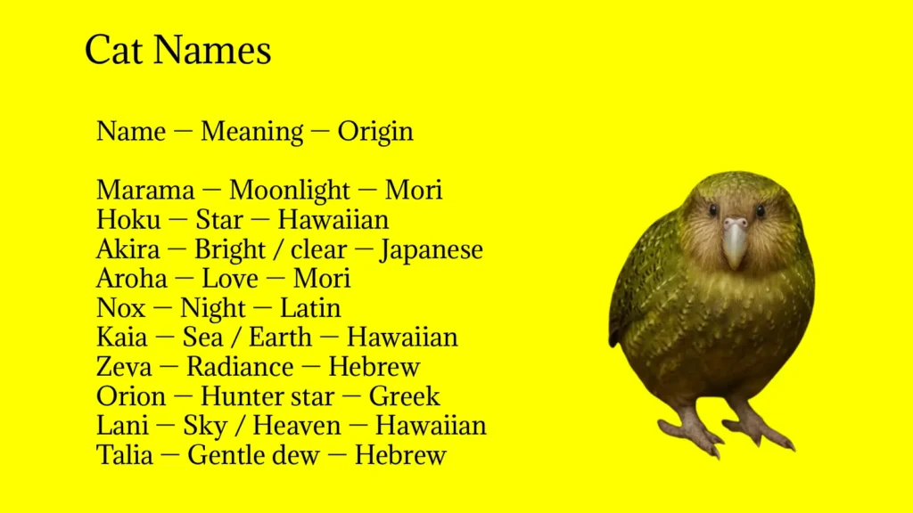 Kakapo Names