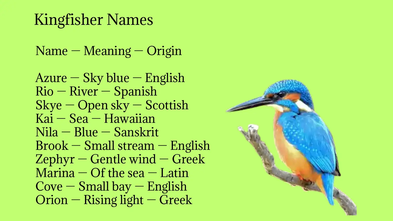 Kingfisher Names