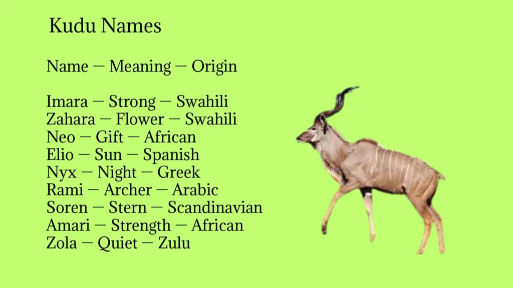 Kudu Names