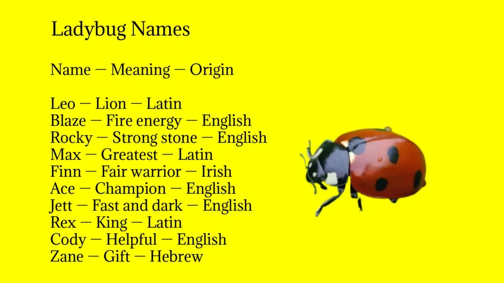 Ladybug Names