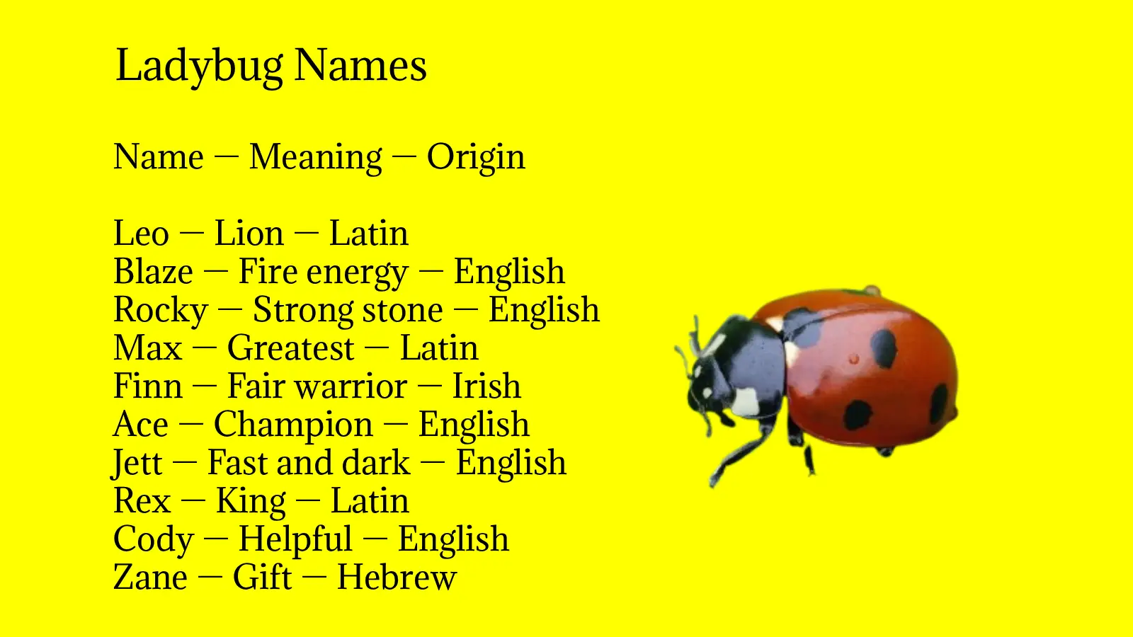 Ladybug Names