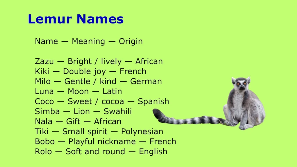 Lemur Names