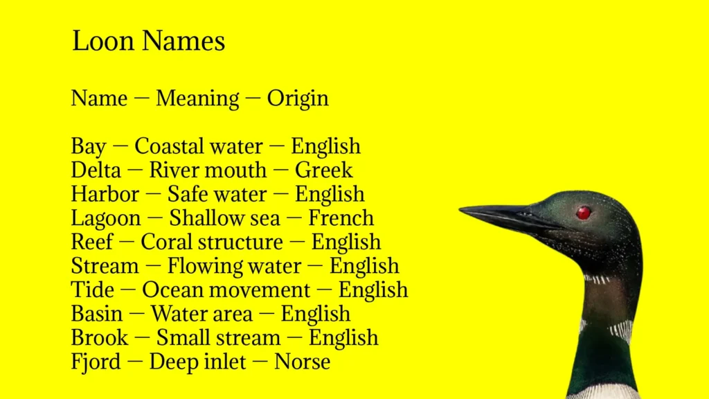 Loon Names