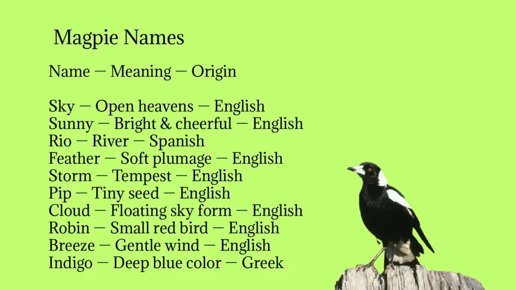 Magpie Names