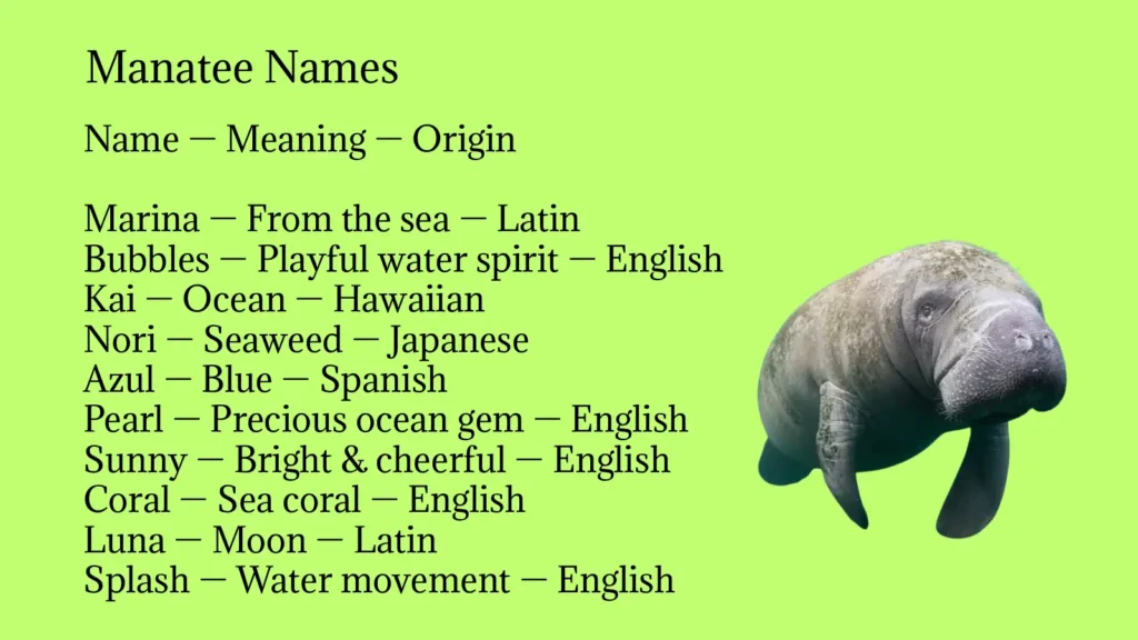 Manatee Names