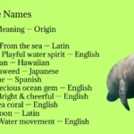 Manatee Names
