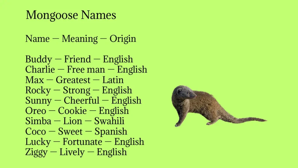 Mongoose Names