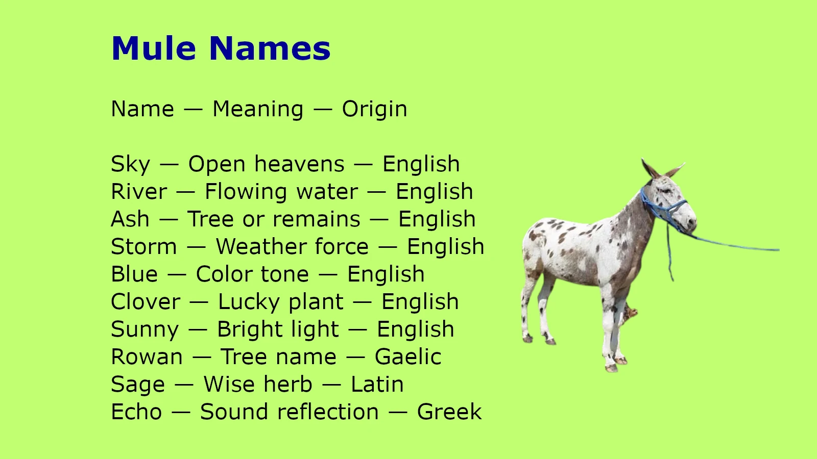 Mule Names