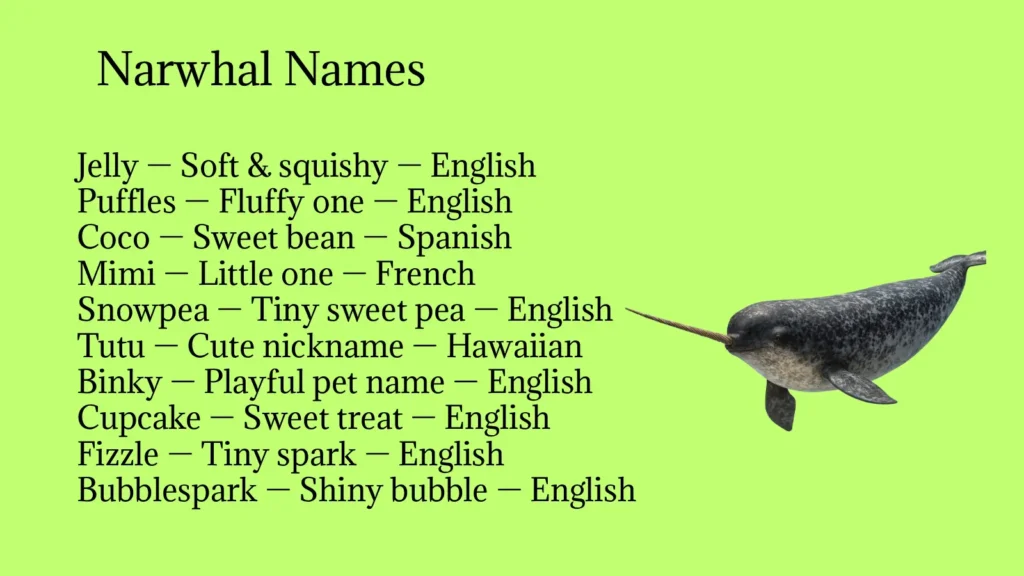Narwhal Names