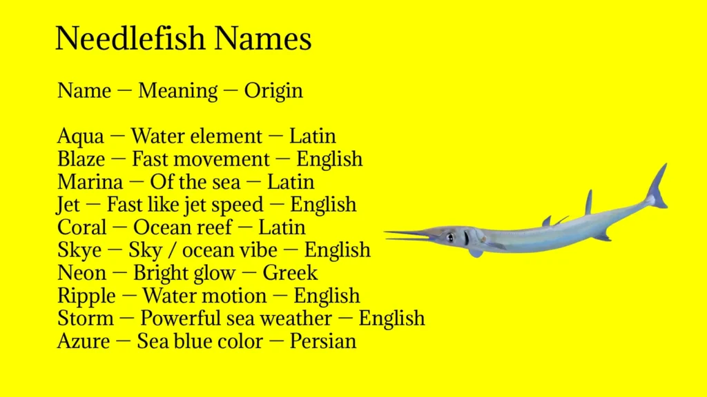 Needlefish Names