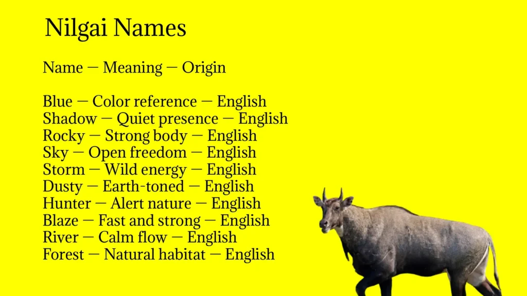 Nilgai Names