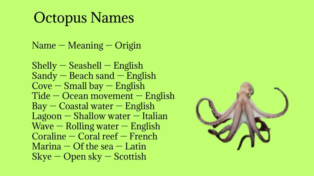 Octopus Names